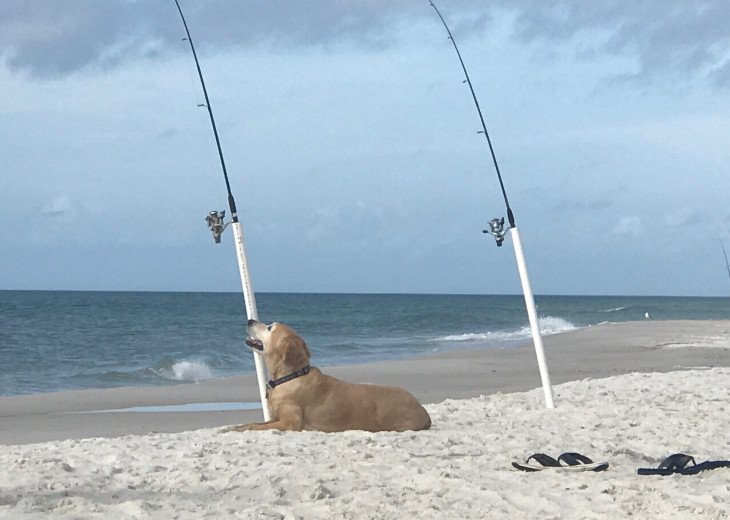 2 Bedroom Townhome Rental in Cape San Blas, FL Gulf