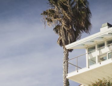 Beach house with palm tree