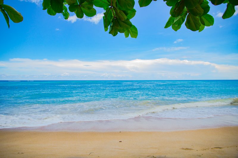 Naked Public Beach Dunes - Florida's Best Nude Beaches - Florida Rentals Blog