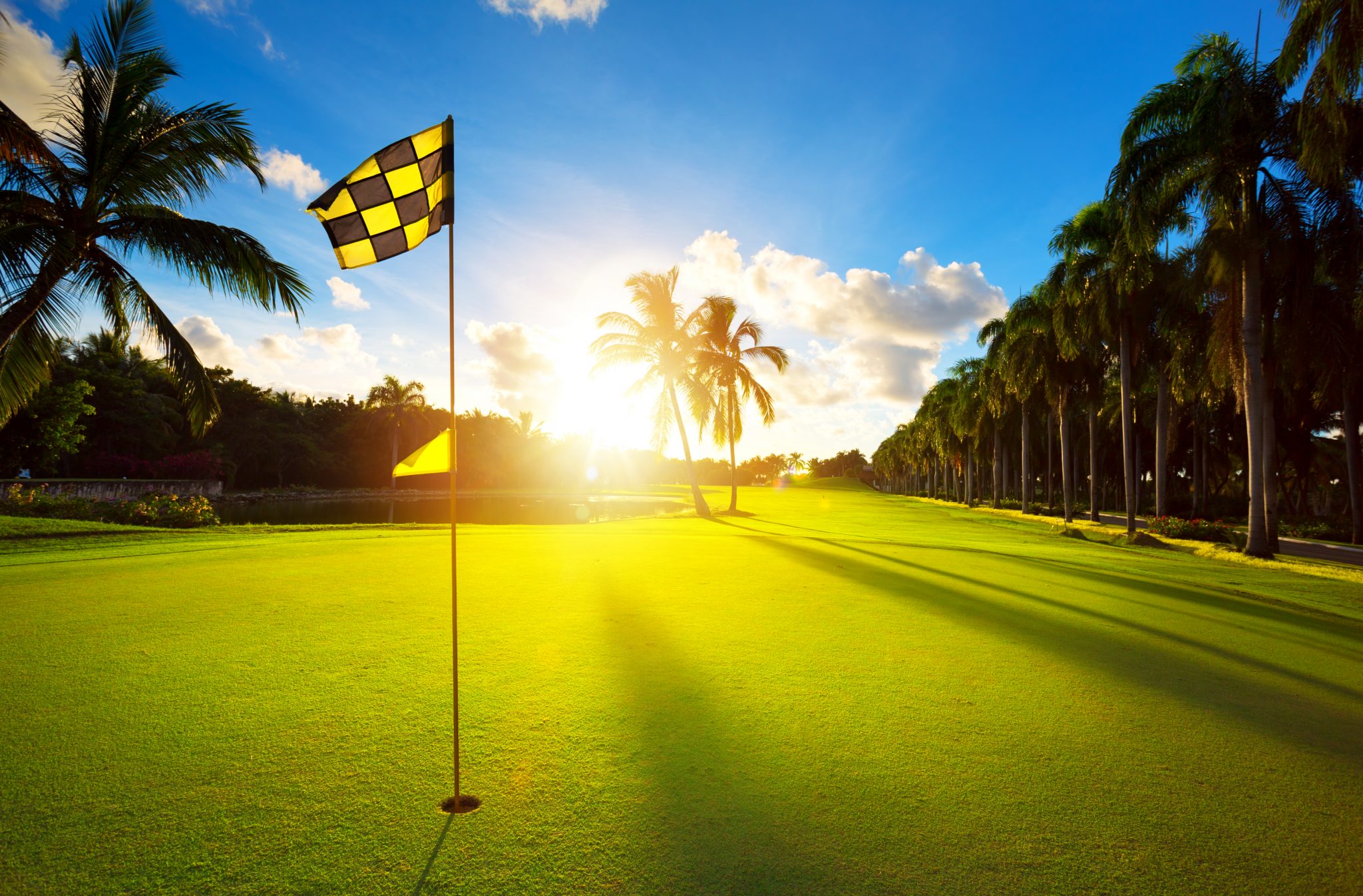 10 Best Golf Courses in the Tampa Area Florida Rentals Blog